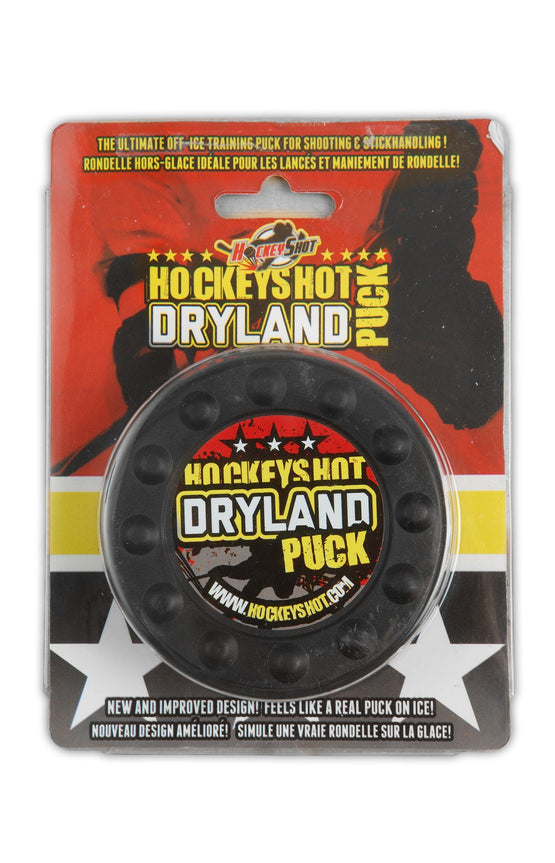 Hockey Shot Puck